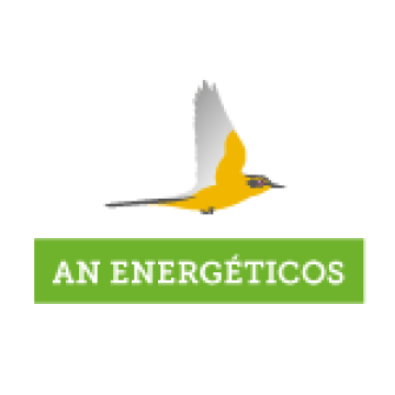 AN ENERGETICOS, S.L.